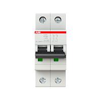 S202-K10 Interruptor Automático Miniatura S200 - 2P - 10 A - Curva K