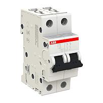 S202-K32 Interruptor Automático Miniatura S200 - 2P - 32 A - Curva K